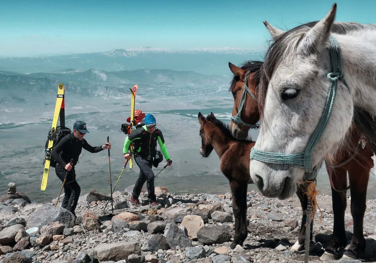 From zero to Ararat